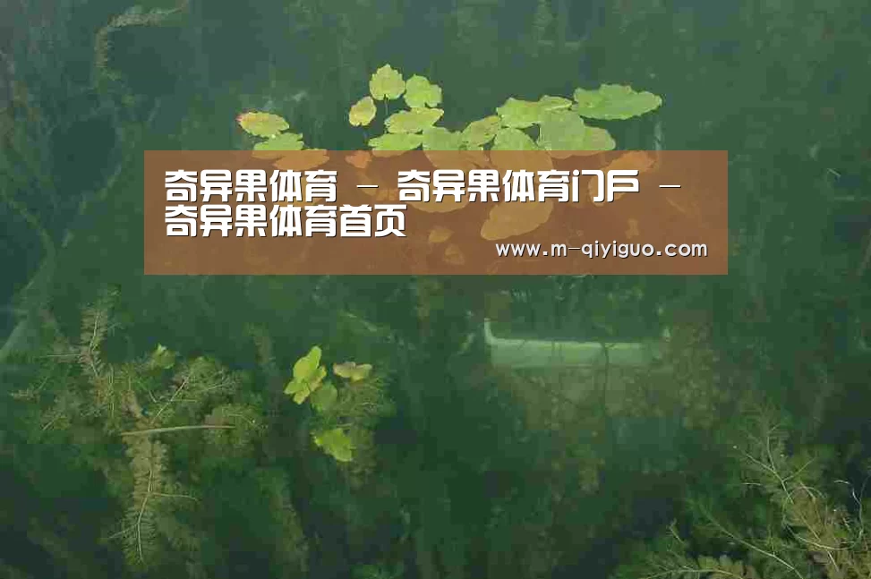 案例展示三(图1)