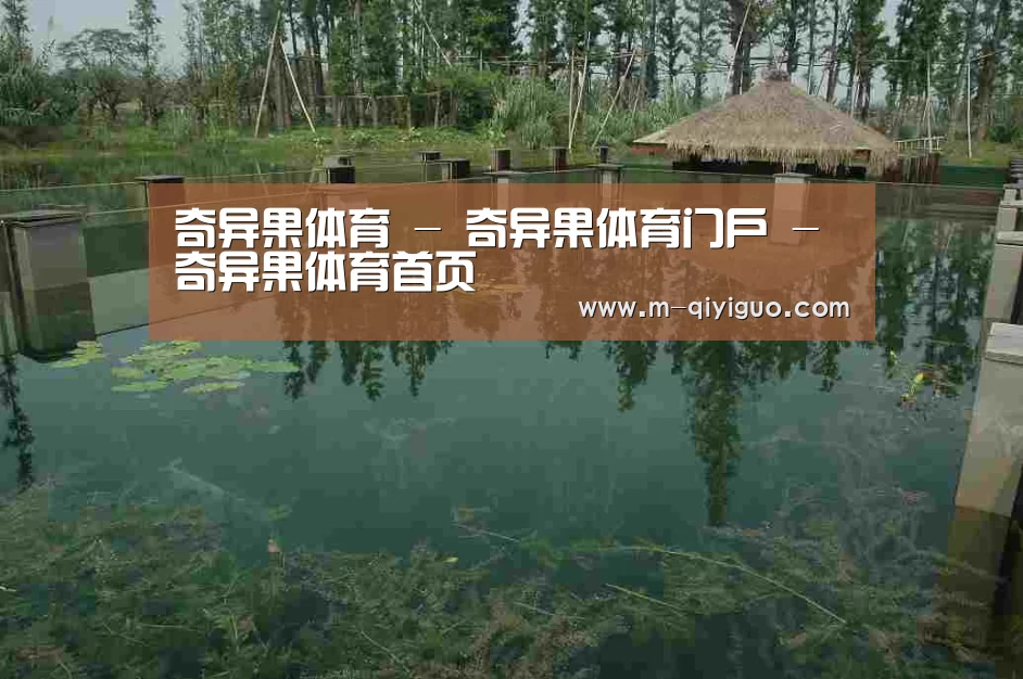 案例展示二(图1)