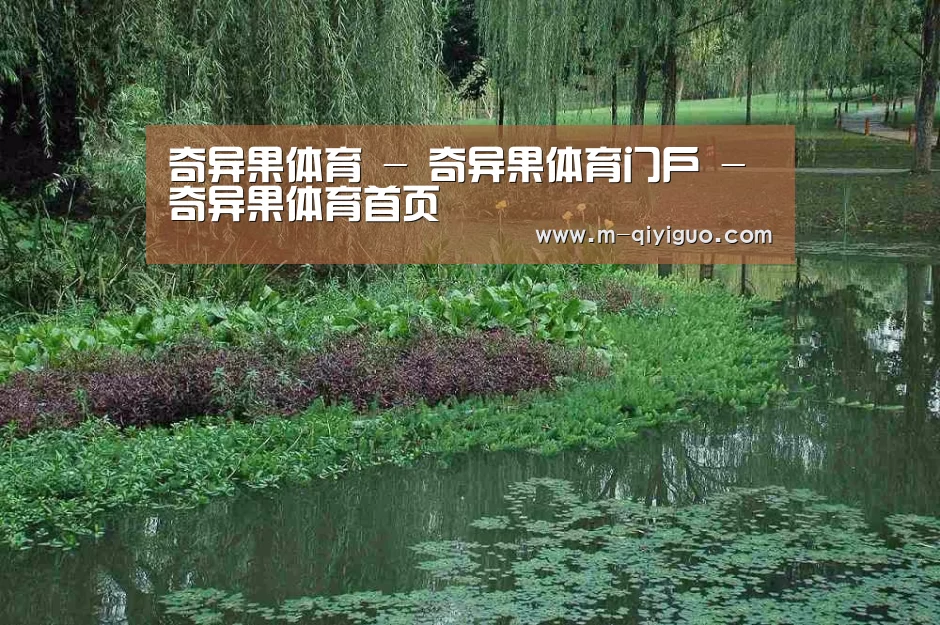 案例展示一