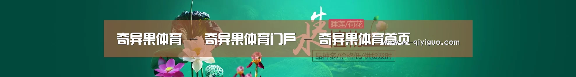 鲜花水草花卉网站模板