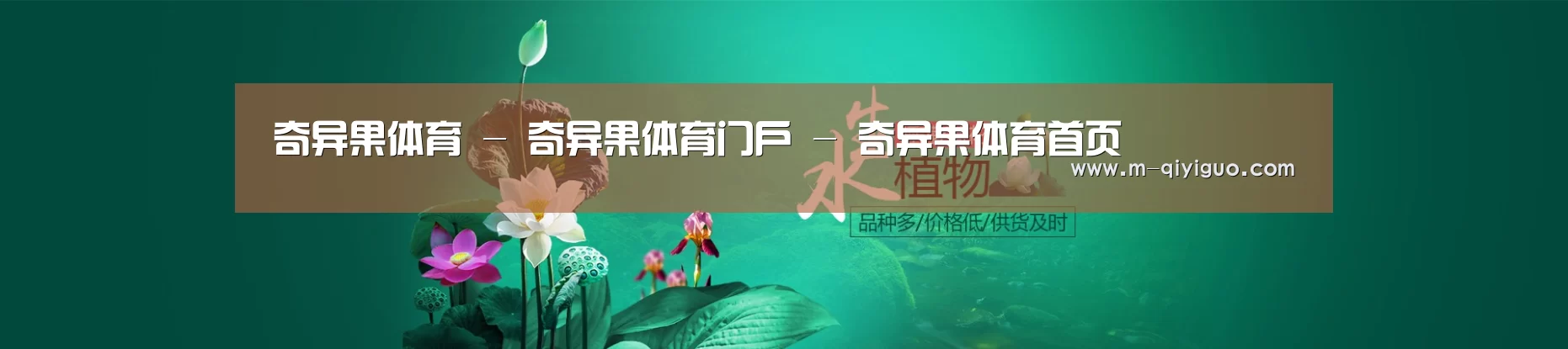 鲜花水草花卉网站模板